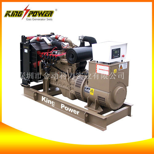 【沼氣發電機廠家】讓污染成為能源的一種!