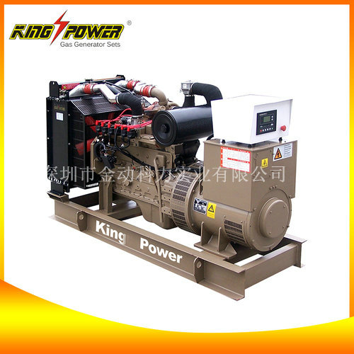 【廣東天燃?xì)獍l(fā)電機(jī)】天然氣發(fā)電就是好!