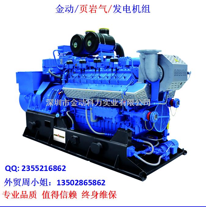 【深圳頁(yè)巖氣發(fā)電機(jī)】 發(fā)展趨勢(shì)無(wú)懈可擋!