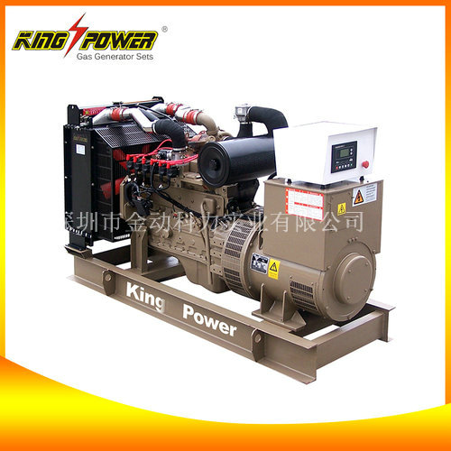 廣東沼氣發電機/沼氣發電機價格