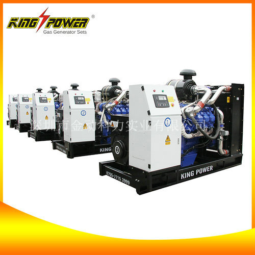 沼氣發(fā)電機組/沼氣發(fā)電機組生產(chǎn)商