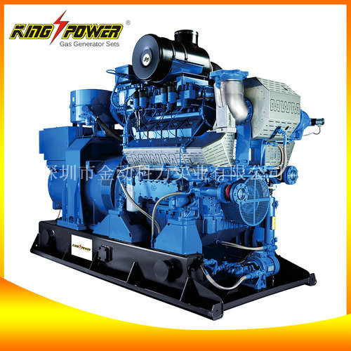 【養(yǎng)殖場(chǎng)沼氣發(fā)電機(jī)】變廢為寶的工具